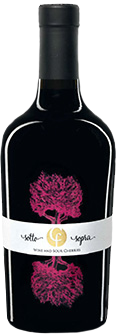 Sottosopra